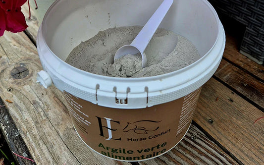 L’argile verte alimentaire pour les ulcères, problèmes intestinaux..