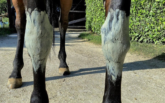 Votre cheval a de l’arthrose ?