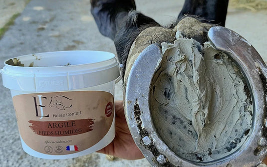 Votre cheval a les pieds trop humides l’hiver ?
