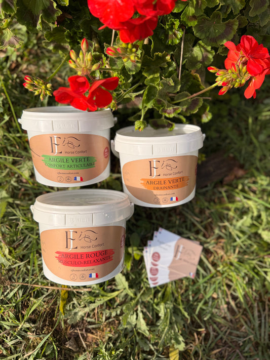 Argile rouge vs argile verte : quelles différences pour votre cheval ?