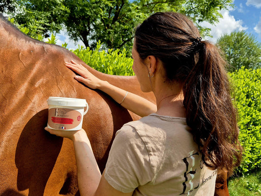 Pourquoi choisir des argiles pour chevaux sans huiles essentielles ?
