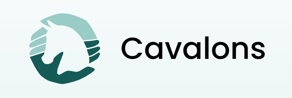 Demi-pension et bien-être du cheval : une organisation moderne avec Cavalons