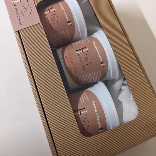 argile coffret decouverte cheval