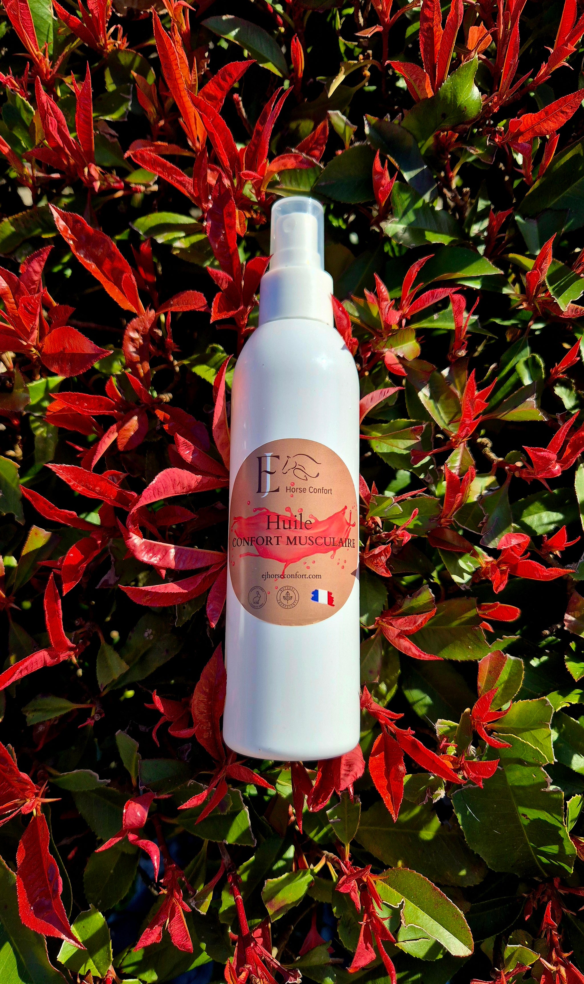 huile confort musculaire cheval 